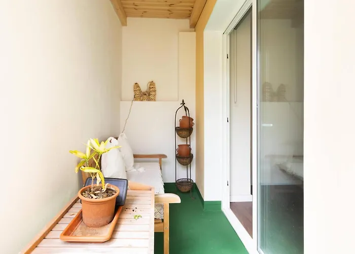 Live La Caleta Vista Al Mar